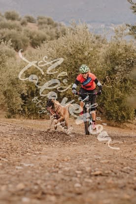 Post Instagram @alejandro.talaveron